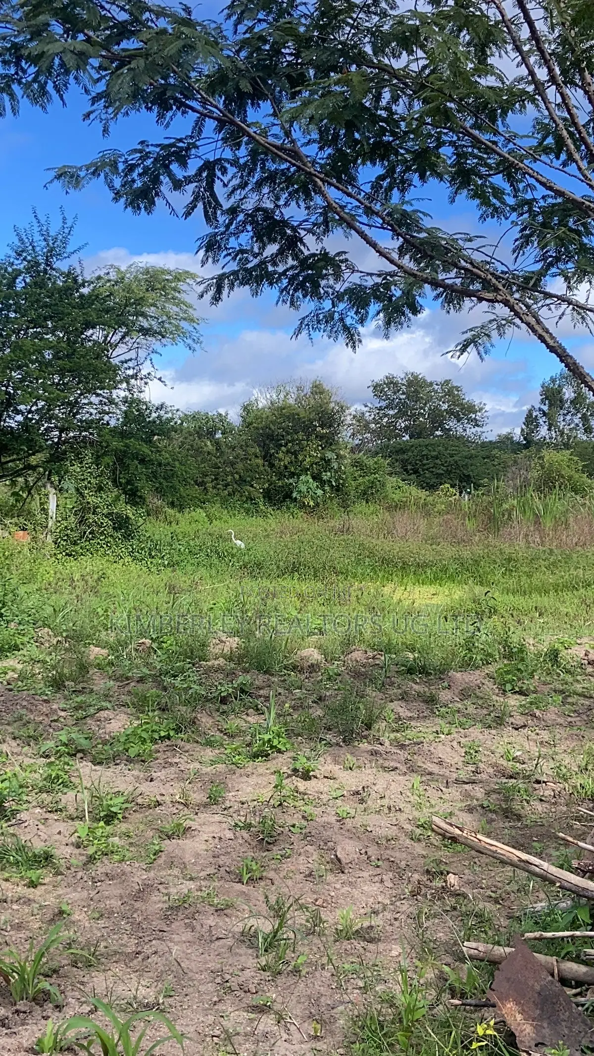 Prime Plot for Sale – Gayaza (Vumba Numbers Estate) in Zirobwe