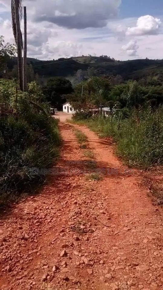 Prime Plot for Sale – Gayaza (Vumba Kanoni Estate) in Zirobwe
