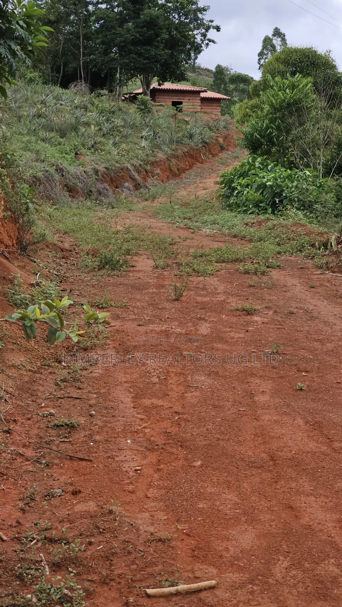 Prime Plot for Sale – Gayaza (Vumba Kanoni Estate) in Zirobwe
