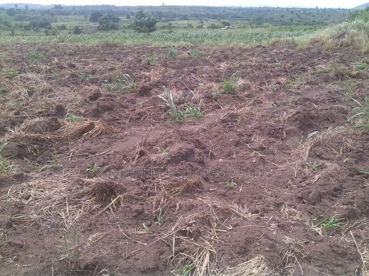 Prime Plot for Sale – Busika (Kibanga Rock Estate) in Division A