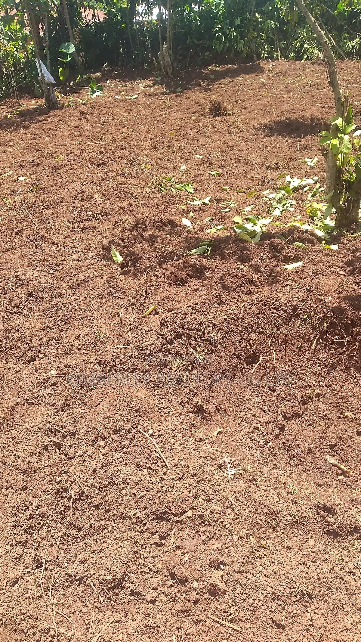 Prime Plot for Sale – Busika (Kibanga Rock Estate) in Division A