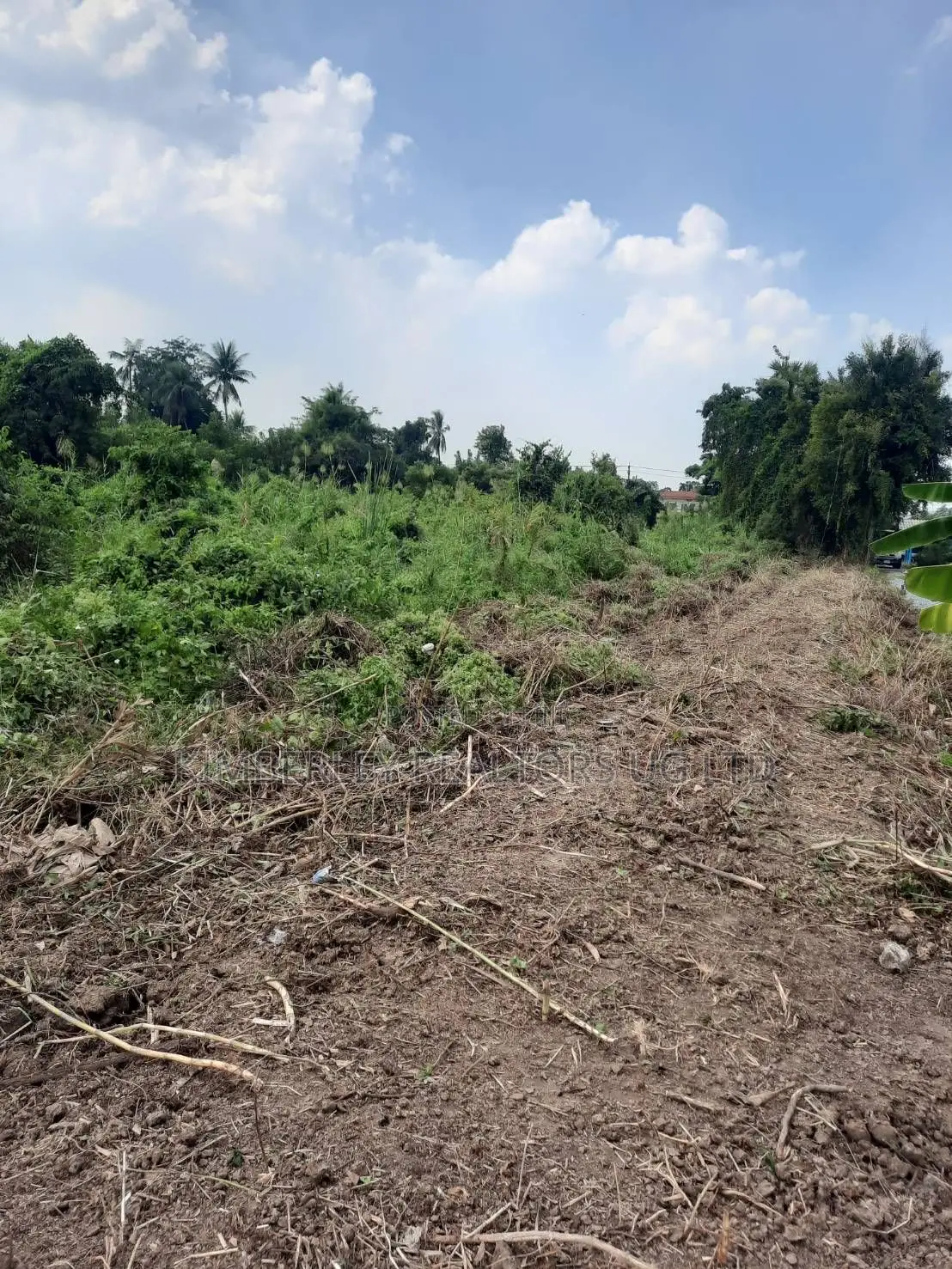Prime Plot for Sale – Vumba (Kiwangula City) in Division A