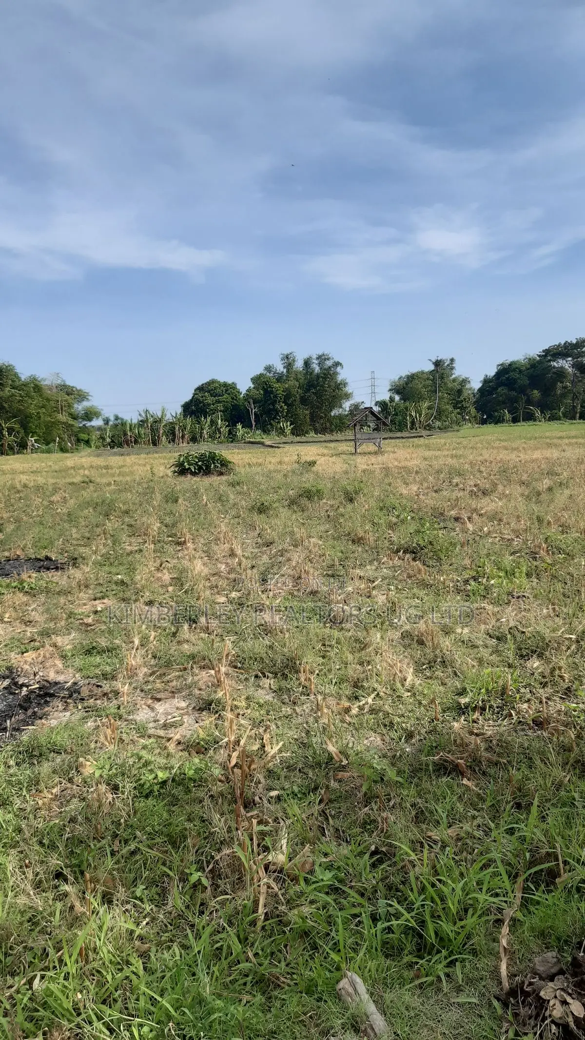 Prime Plot for Sale – Gayaza Vumba (Hilltop Estate) in Division A