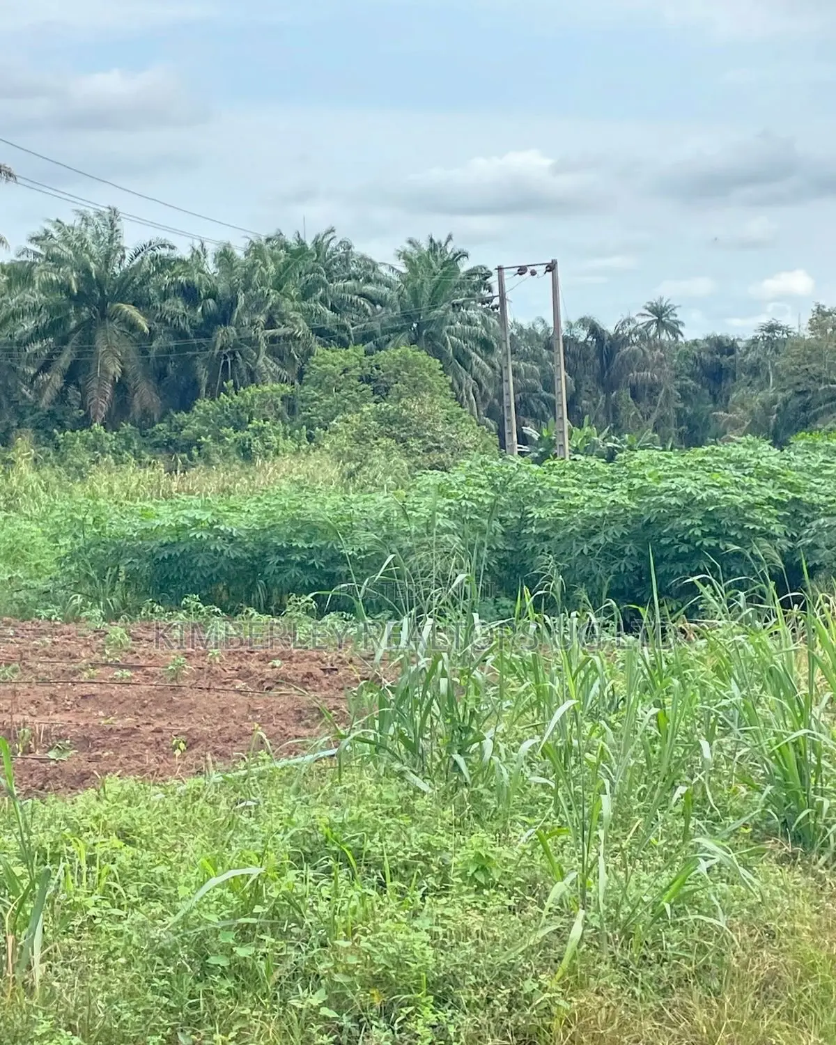 Prime Plot for Sale – Kiwenda (Hilltop Estate) in Division A