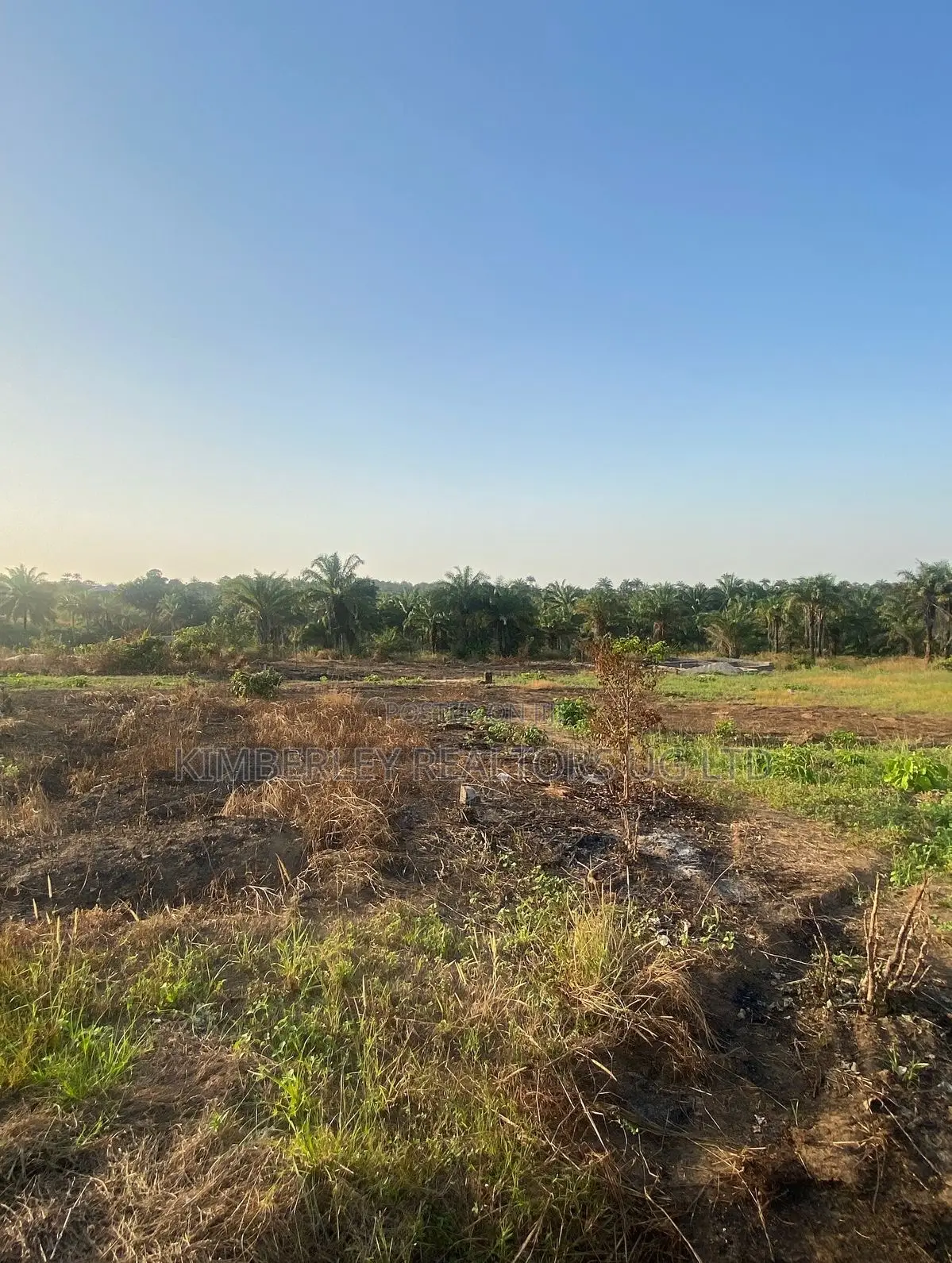 Prime Plot for Sale – Kiwenda (Hilltop Estate) in Division A