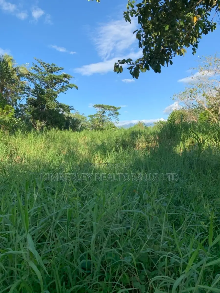 Prime Plot for Sale – Busika (Vila Wabikokoma Estate) in Division A