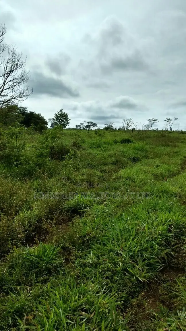 Prime Plot for Sale – Kiwenda Kireka Estate in Division A