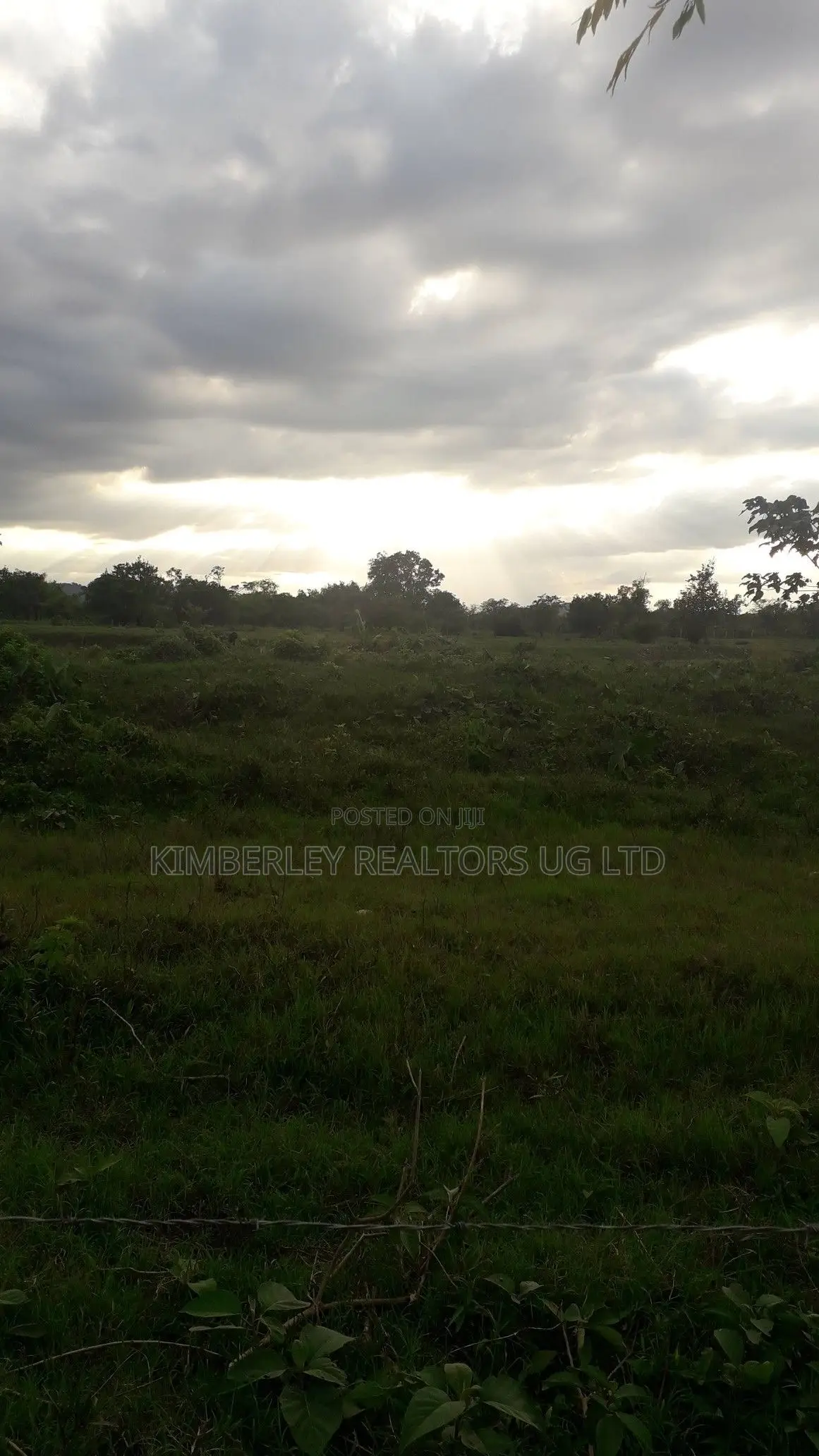 Prime Plot for Sale – Kiwenda Kireka Estate in Division A