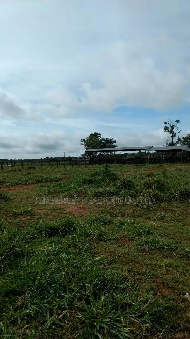 Prime Plot for Sale – Busika Kabembe Estate in Division A