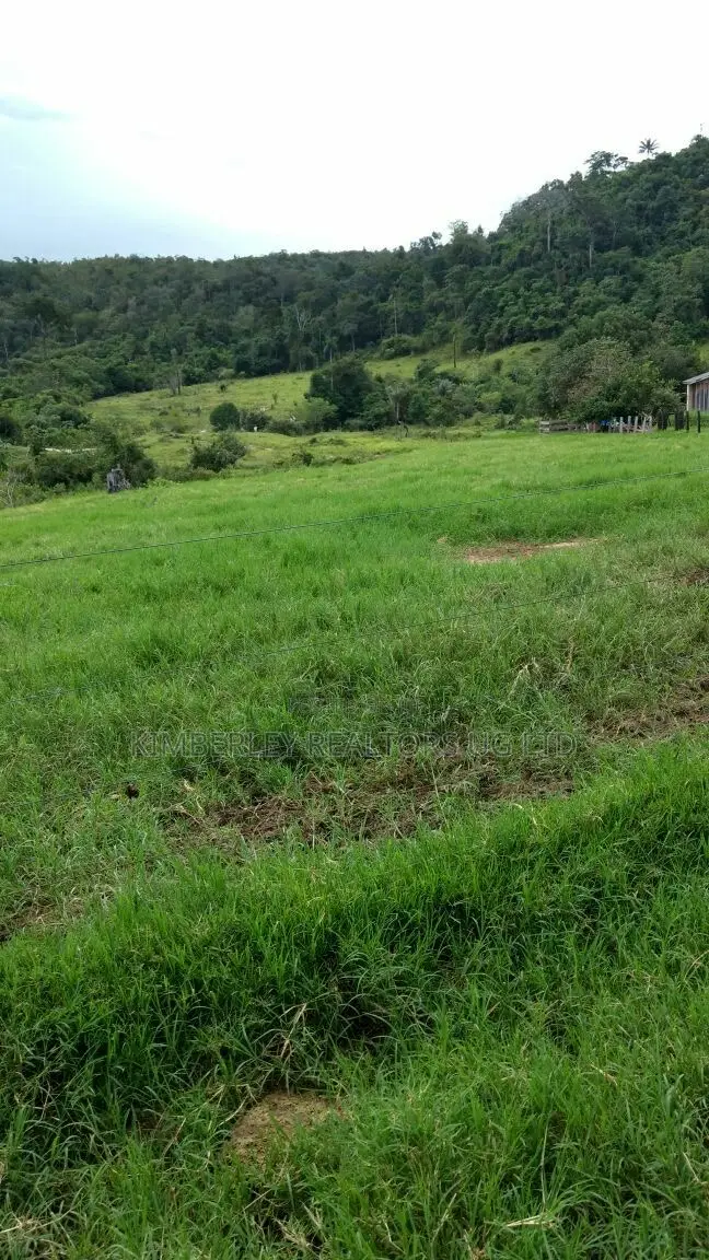 Prime Plot for Sale – Busika Kabembe Estate in Division A