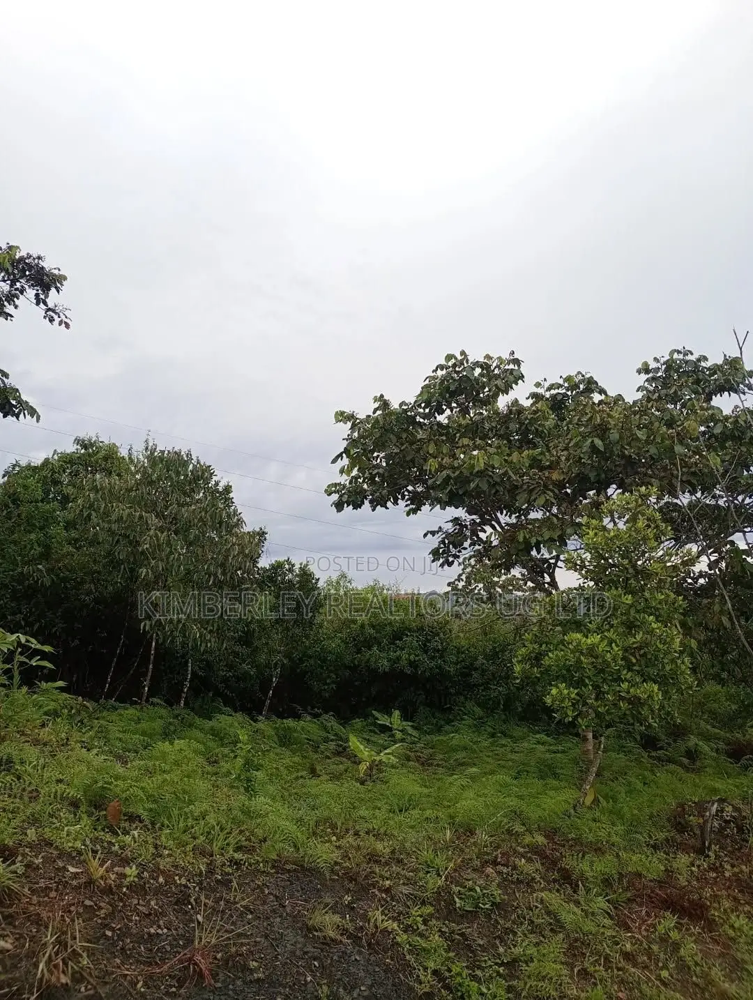 Prime Plot for Sale – Gayaza Kiwenda Estate in Busukuma