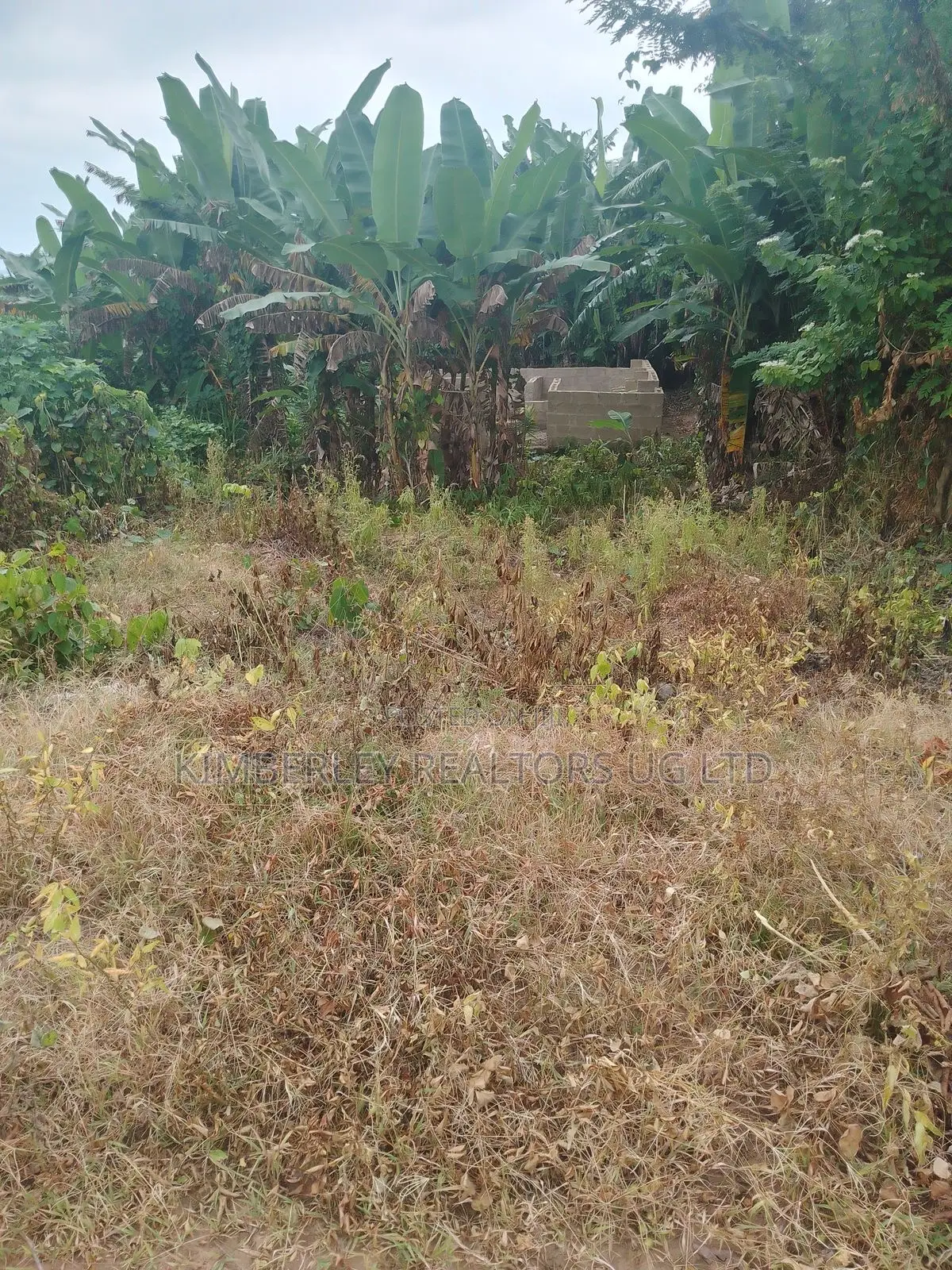 Land for Sale – Bugoma Kitwe, Bugerere in Luwero / Luwero