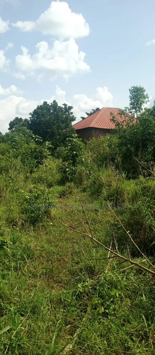 Farm Land for Sale – Wanfuufu in Division A