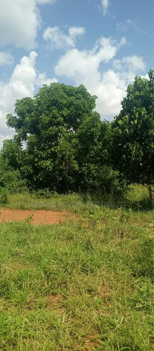 Acre of Land for Sale – Kibenge, Masaka in Buwunga