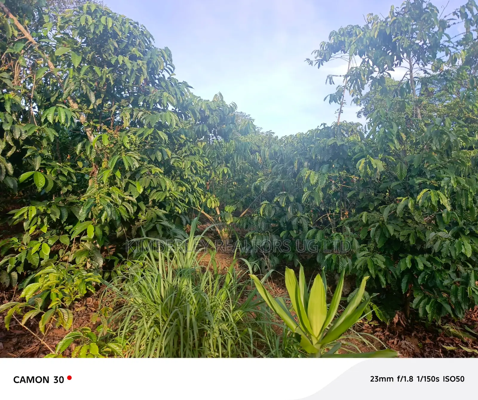 Acre of Land for Sale – Kibenge, Masaka in Buwunga