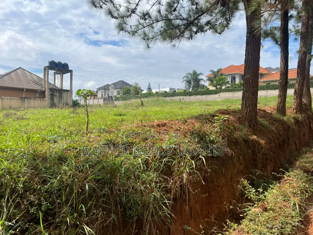100by100ft Plot for Rent in Ntinda in Nakawa
