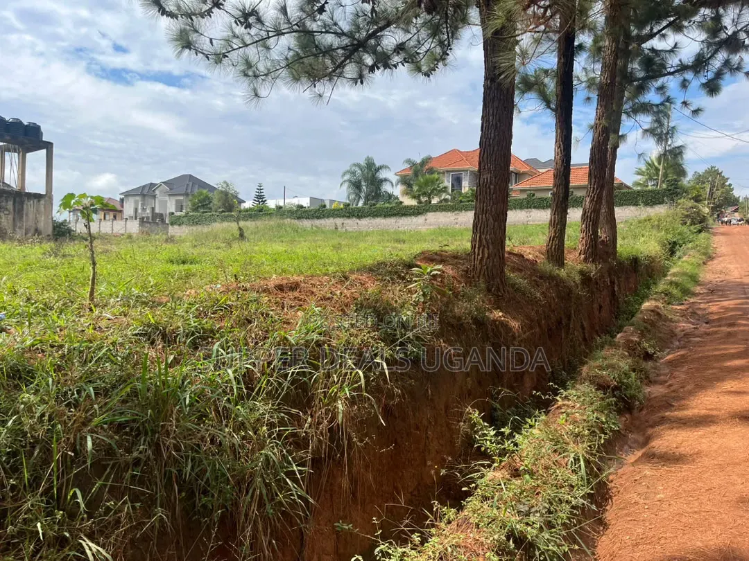 100by100ft Plot for Rent in Ntinda in Nakawa