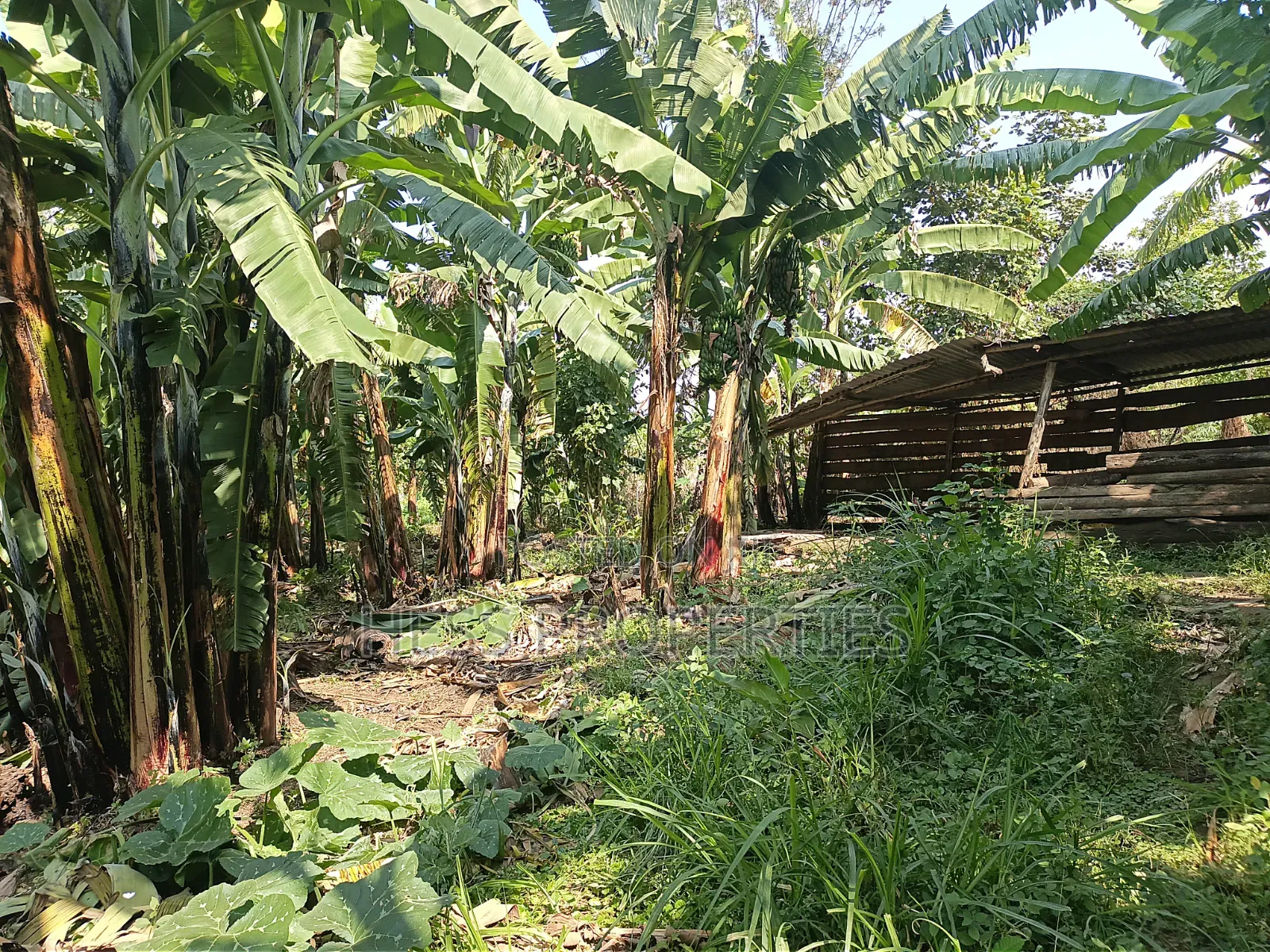 5bdrm Bungalow in Kabalore for sale in Kabalore