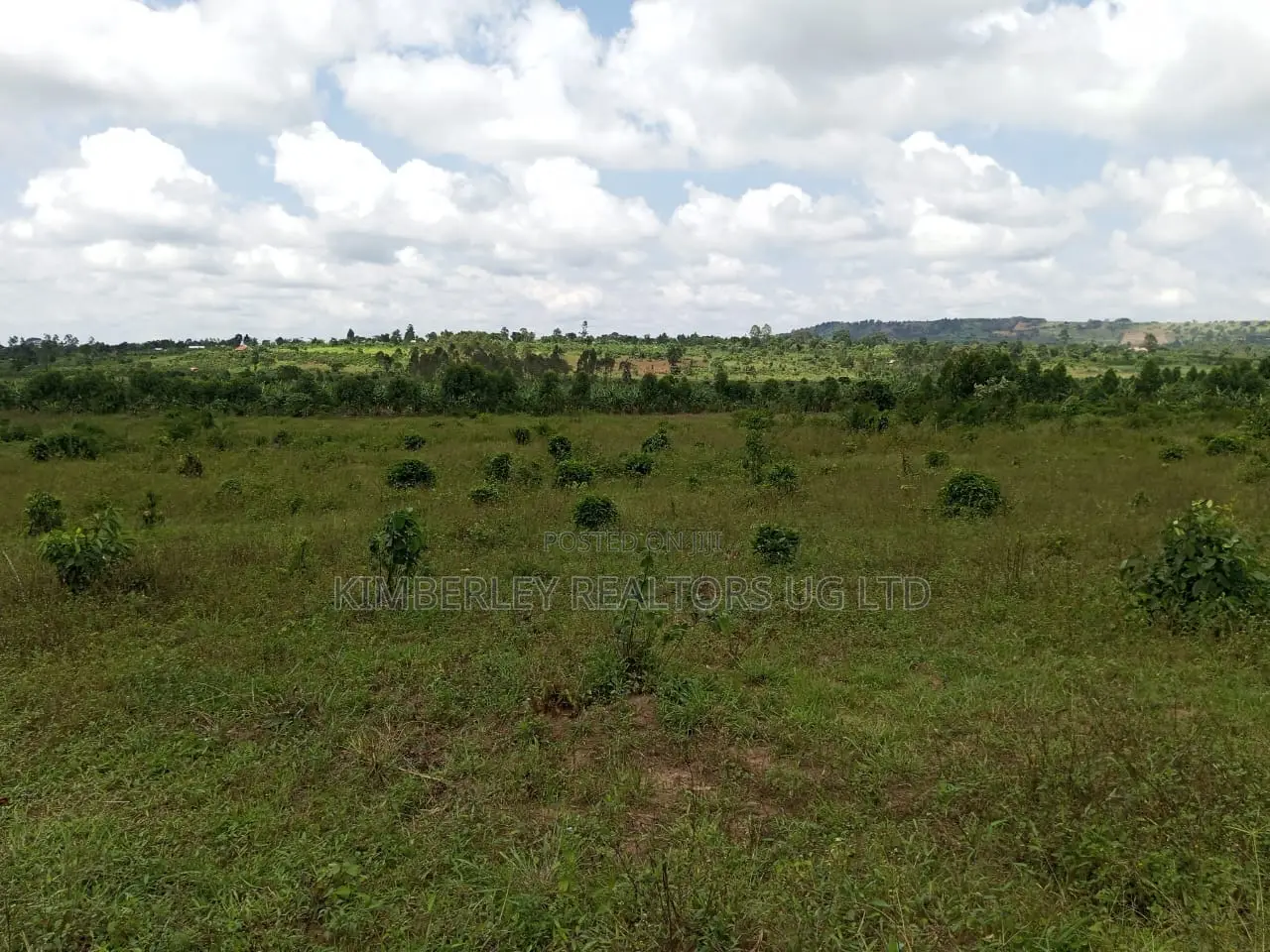 Commercial Plot For Sale – Seguku Nican in Division A