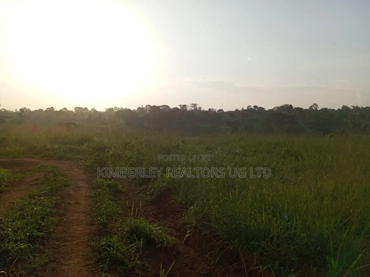 Commercial Plot For Sale – Seguku Nican in Division A
