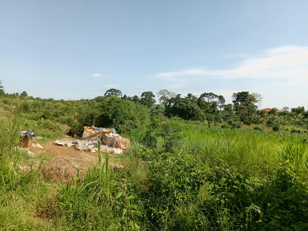 Commercial Plot For Sale – Seguku Nican in Division A