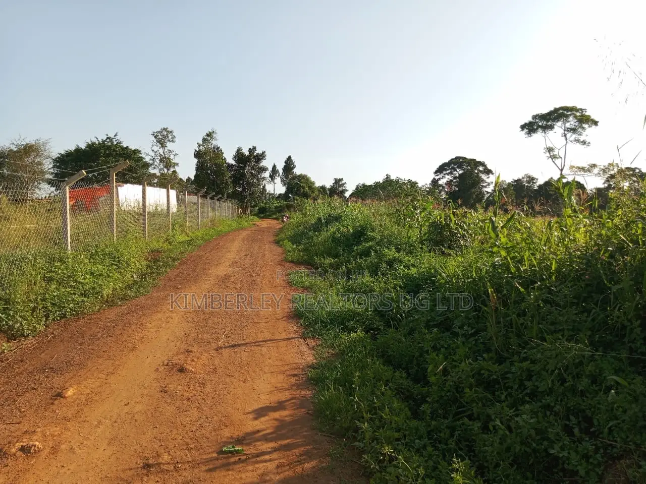 Prime Plot for Sale – Entebbe Ssisa Estate in Division A