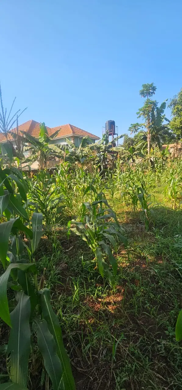 Quick Sale Plot – Kitende (Entebbe Road) in Division A
