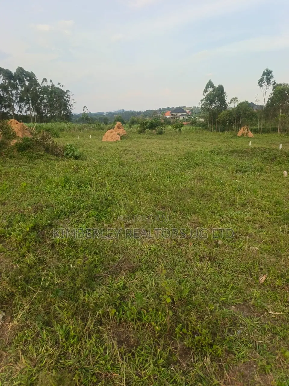 Estate Plots for Sale – Hoima Road (Nsekwa) in Hoima