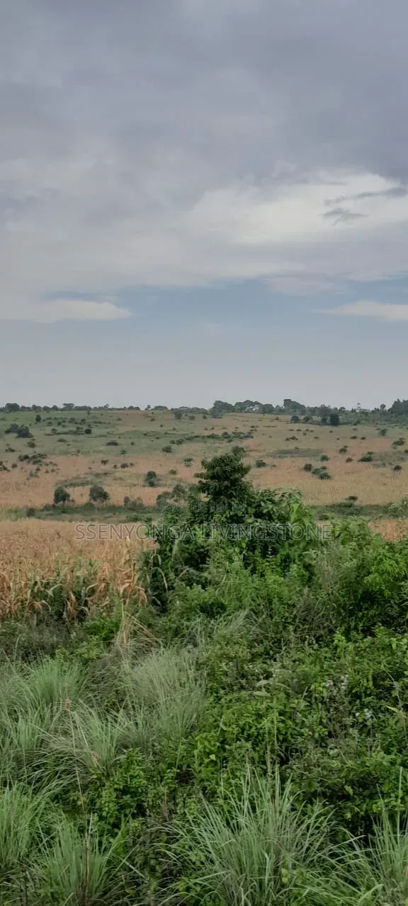 10 Acres of Land in Mityana in Mityana TC