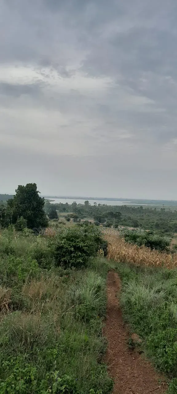 10 Acres of Land in Mityana in Mityana TC