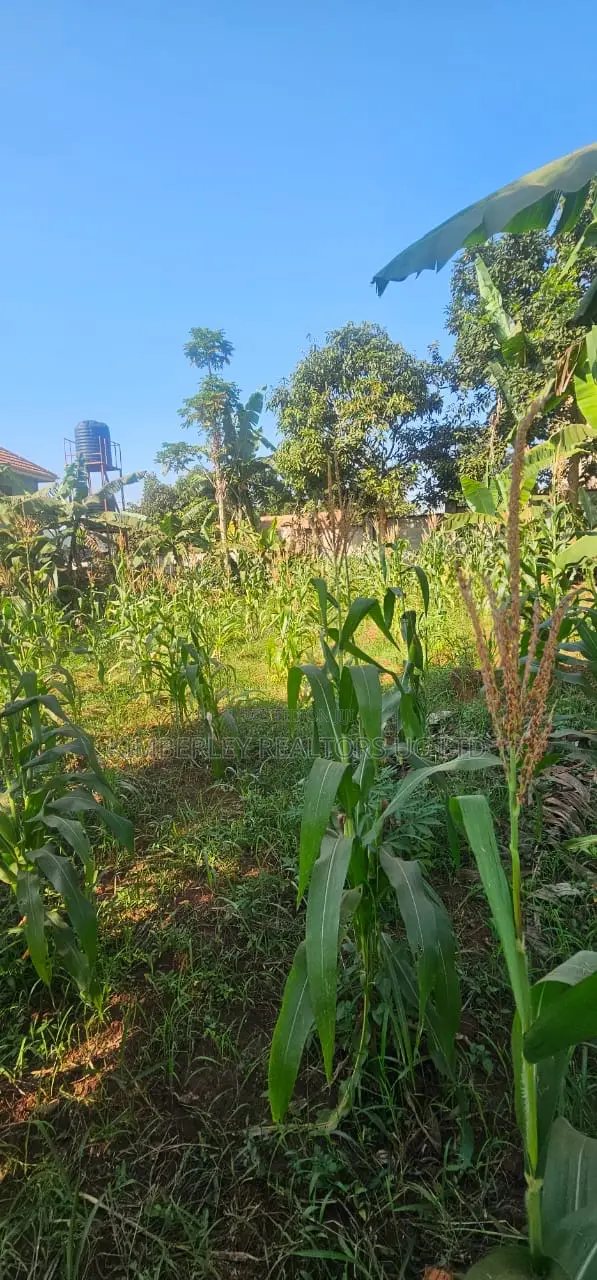 Quick Sale Plot for Sale – Seguku Katale in Division A