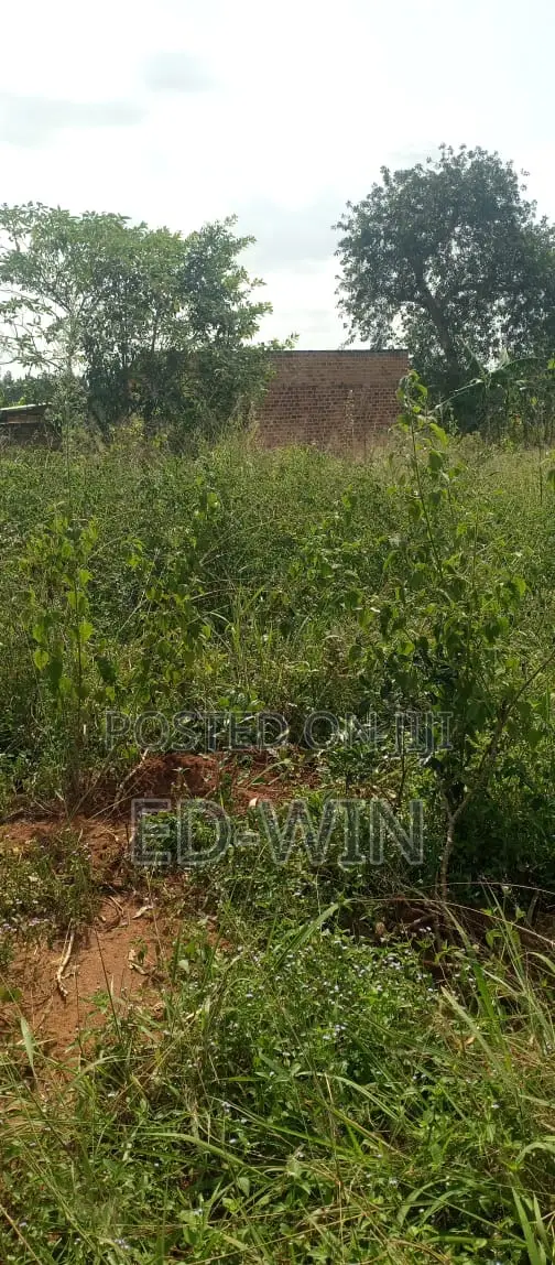 200 Acres Kakinzi in Luwero / Luwero