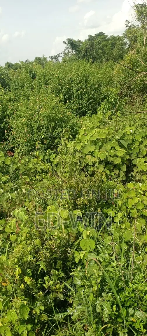 200 Acres Kakinzi in Luwero / Luwero