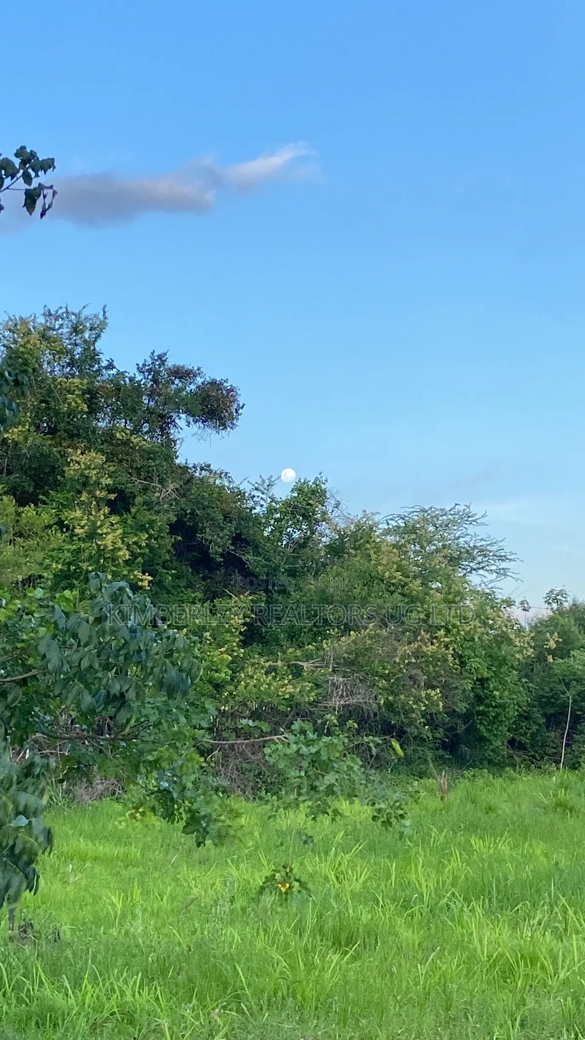 Farming Land for Sale – Kayabwe, Masaka Road in Nyendo