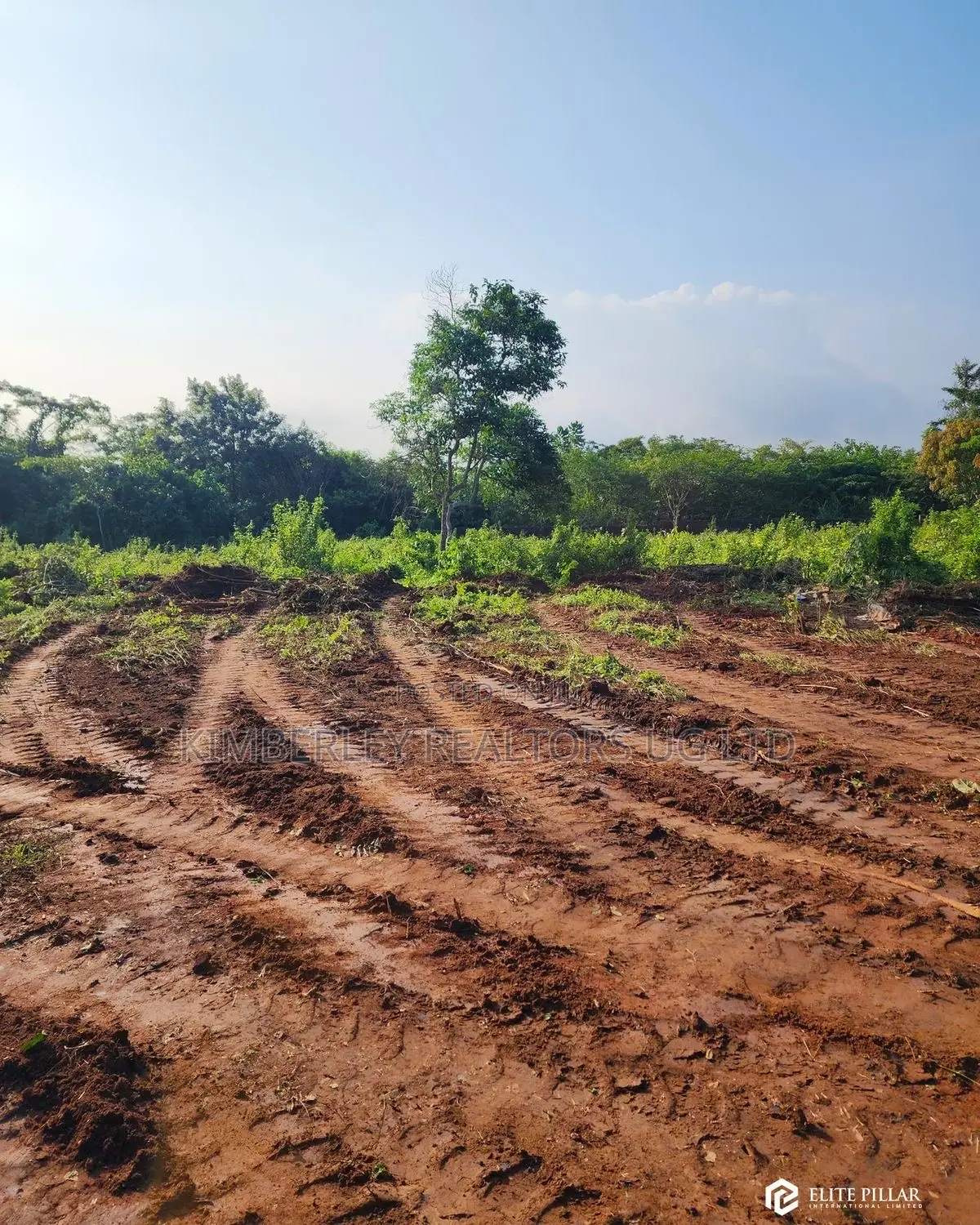 Plots for Sale – Seguku Top Hill (Prayer Mountain) in Division A