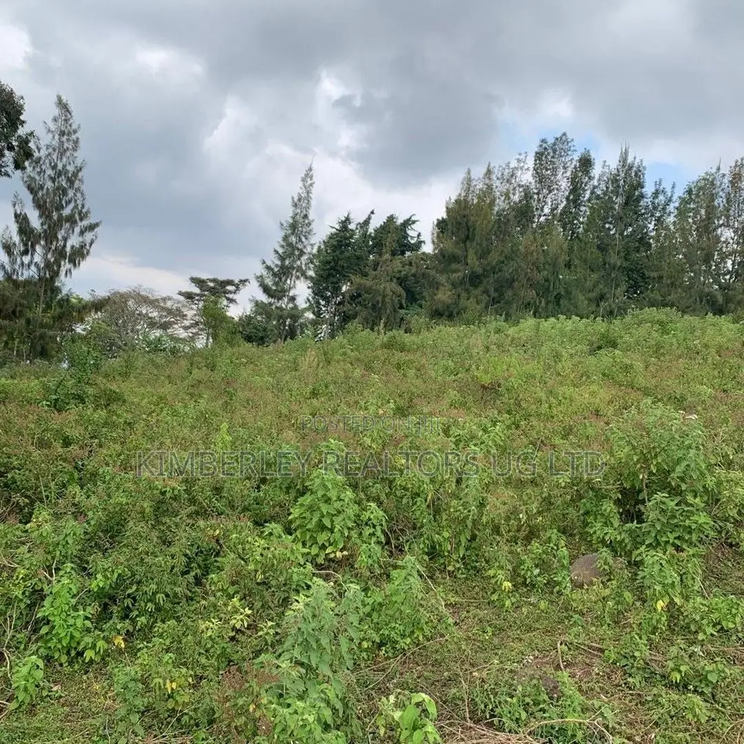 Prime Plot for Sale – Seguku Katale in Division A