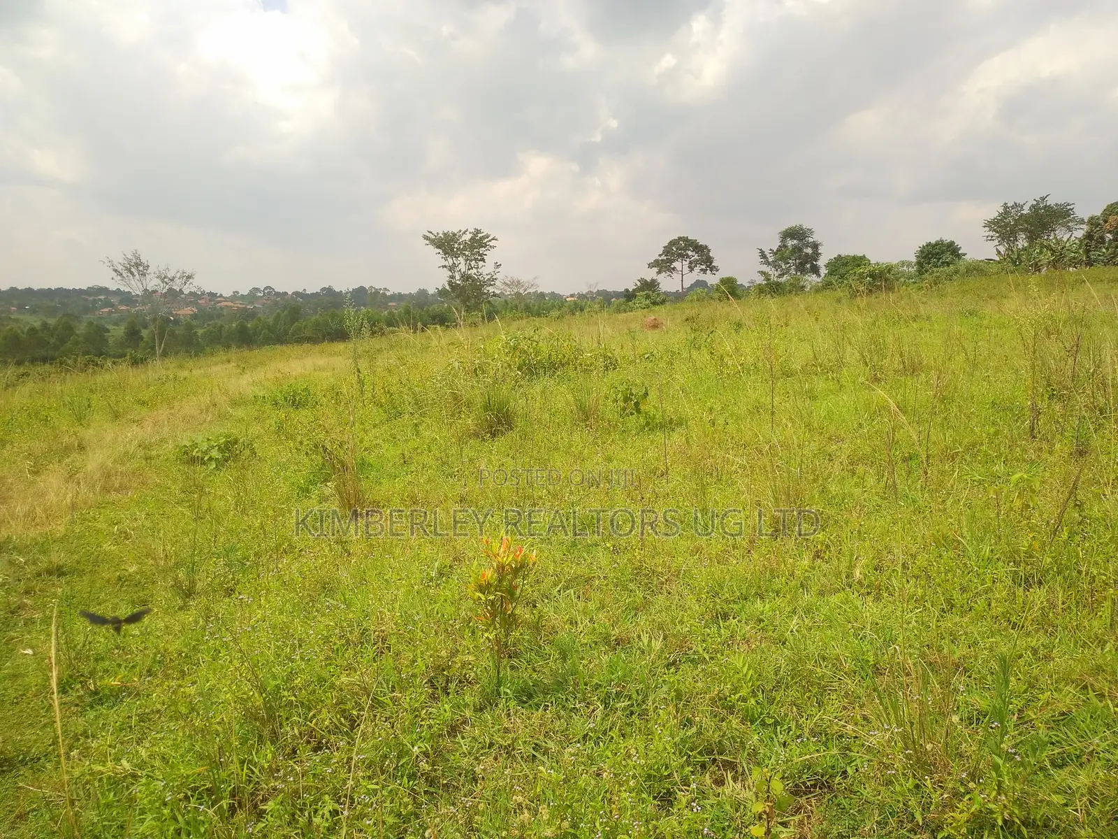 Prime Plots for Sale – Matugga Sanga in Division A
