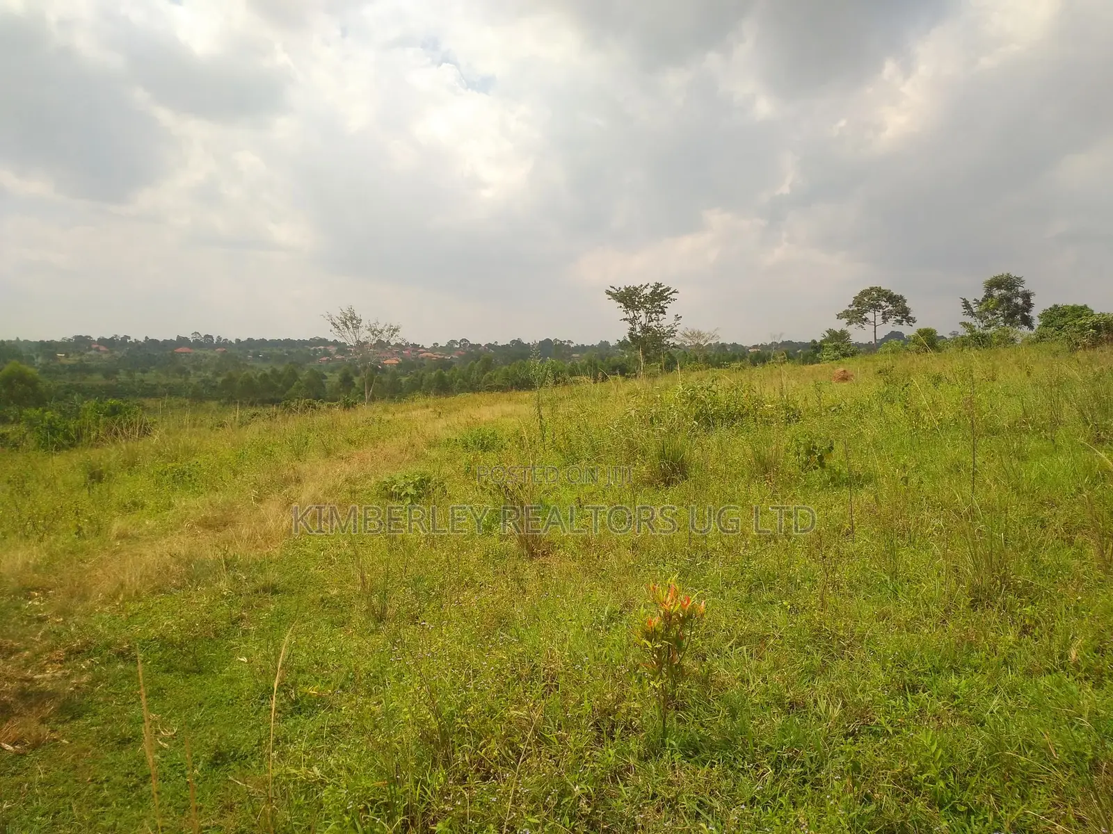 Land for Sale Bugoma Kitwe Bugerere in Kayunga / Kayunga