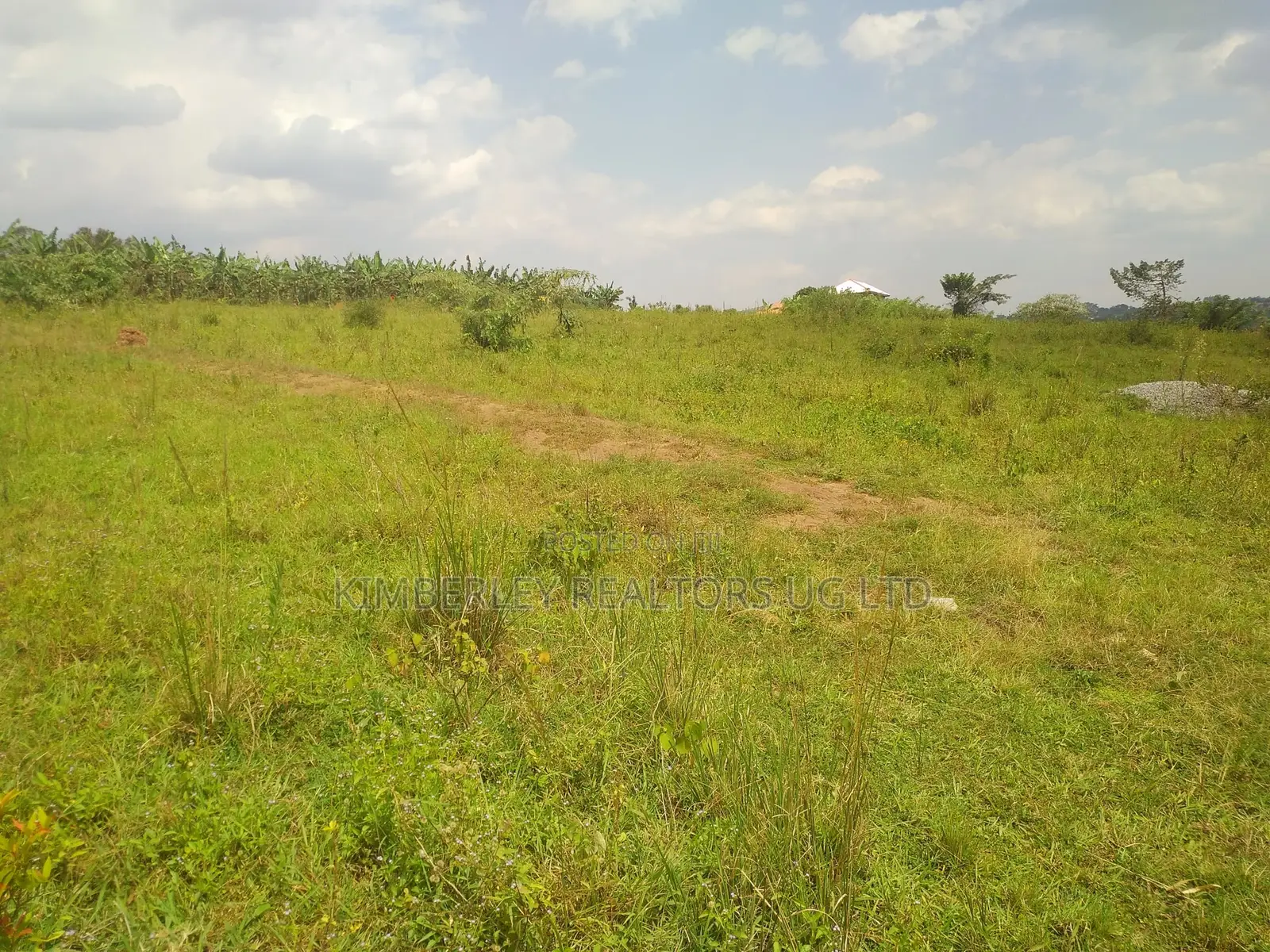 Land for Sale Bugoma Kitwe Bugerere in Kayunga / Kayunga