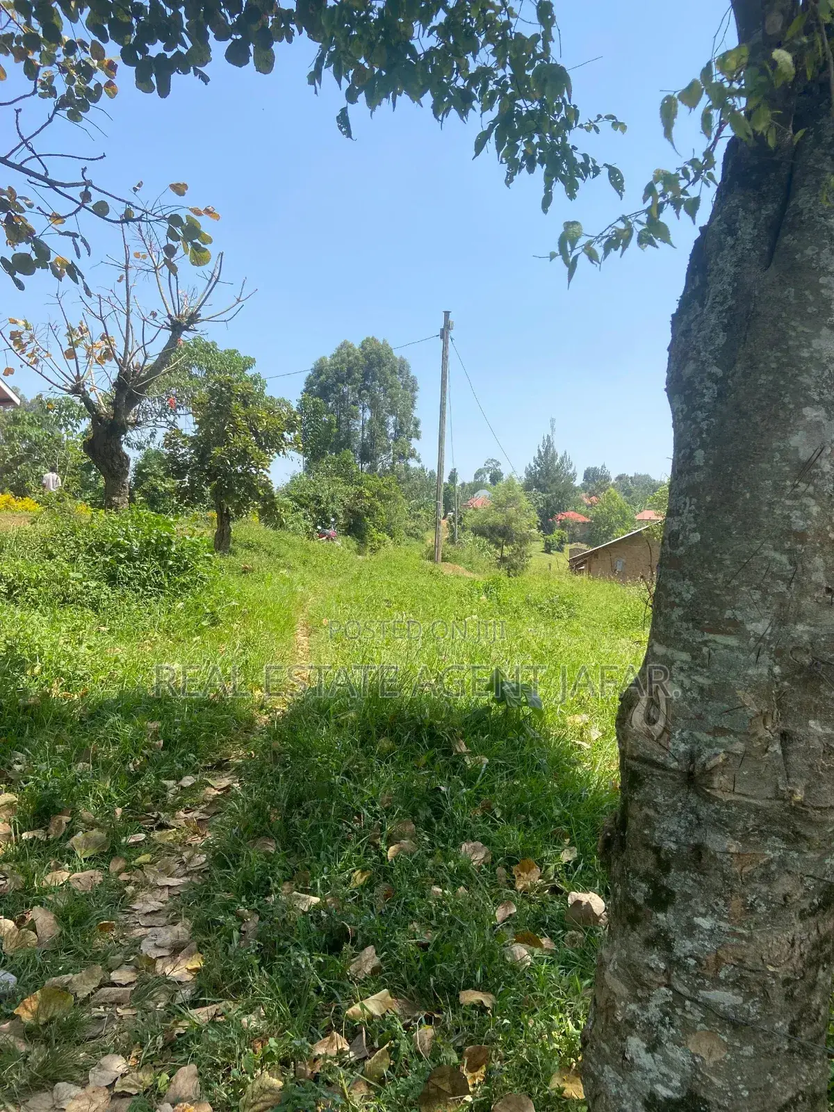 Estate in Central Division,Fort Portal City. in Kabalore