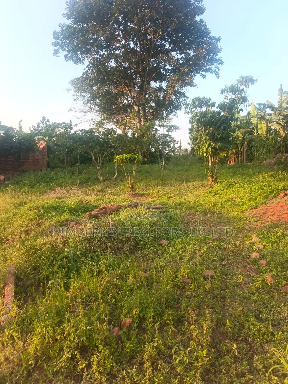 Quick Sale Land for Sale – Hoima Road in Division A
