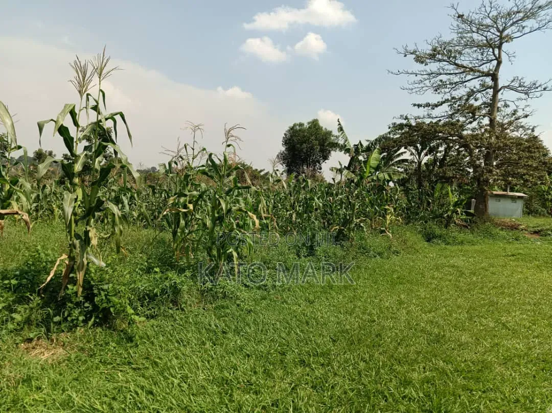 One Acre and Half for Sale Located at Mukono Nkokonjeru in Mukono TC