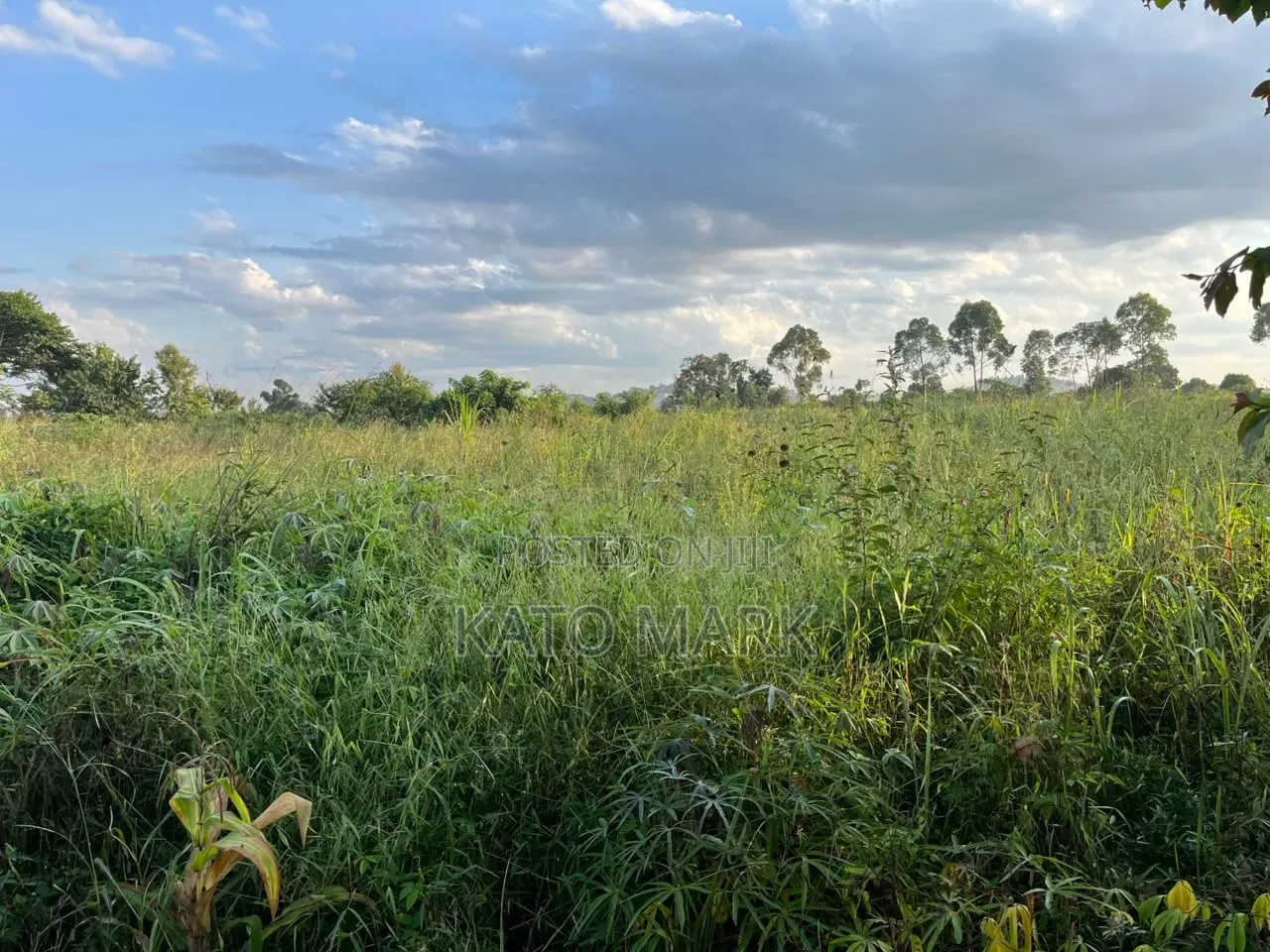 One Acre and Half for Sale Located at Mukono Nkokonjeru in Mukono TC