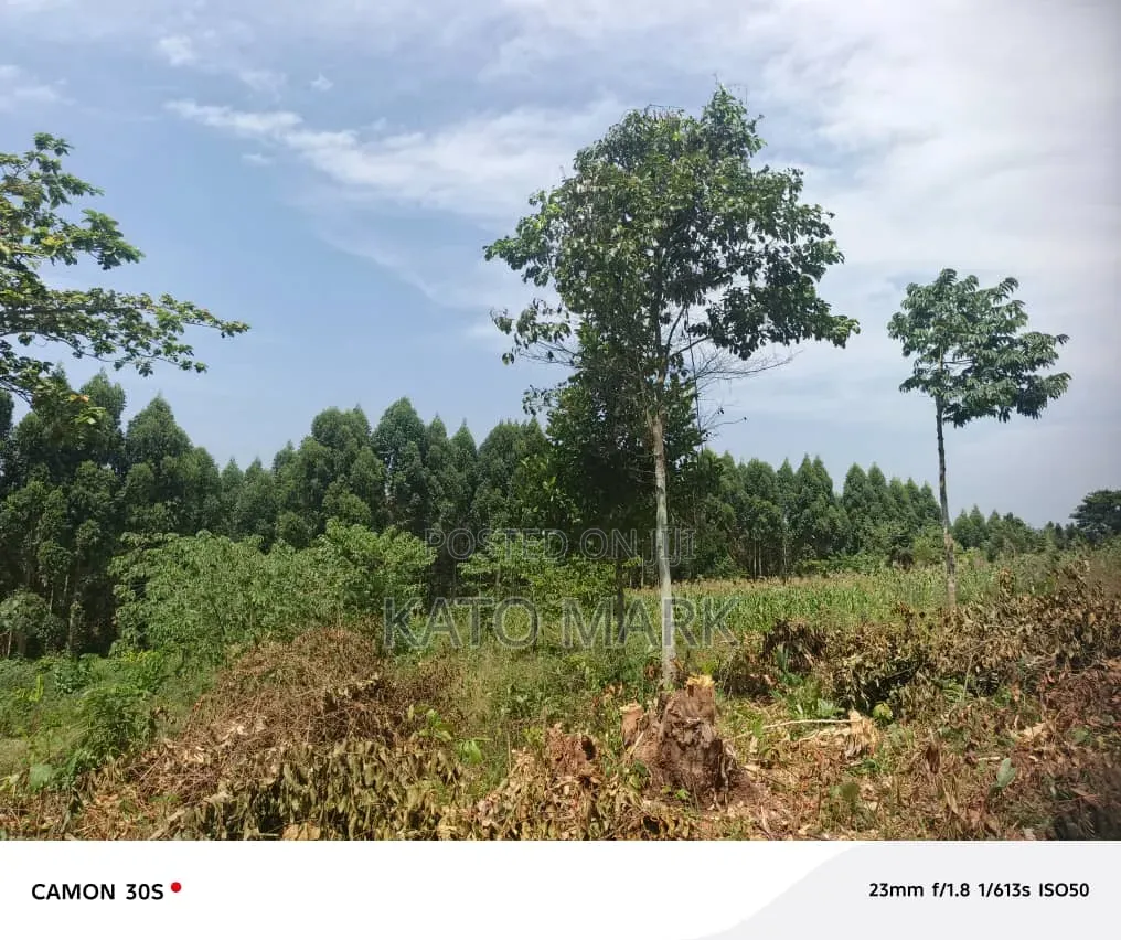 Half Acre for Sale Located at Mukono Katosi in Mukono TC