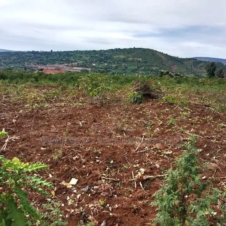 Quick Sale Hilltop Land – Mutundwe (Kampala View) in Division A