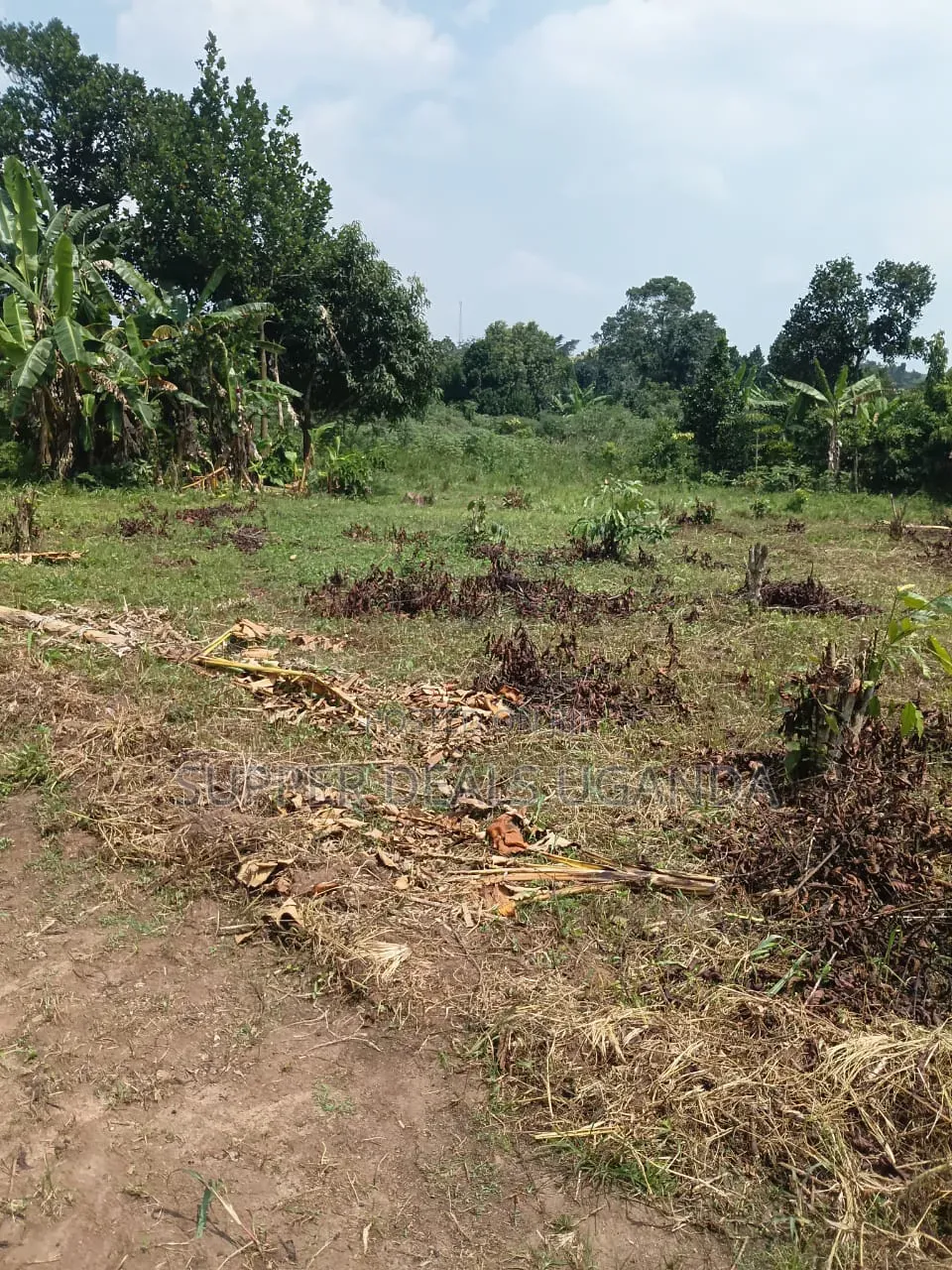 40by25 Ft Plot for Sale in Gayaza in Nakawa