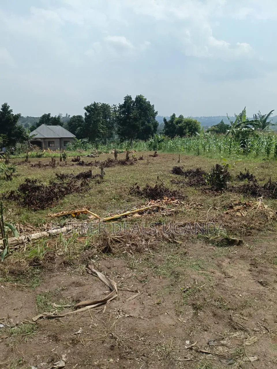 40by25 Ft Plot for Sale in Gayaza in Nakawa