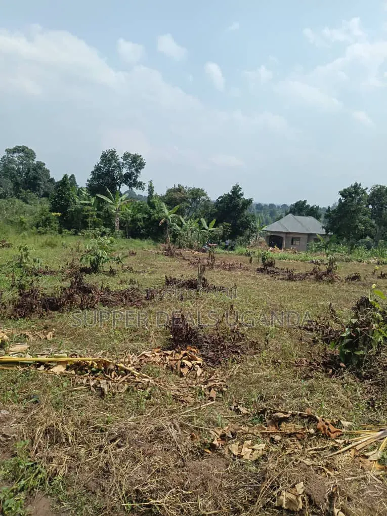 40by25 Ft Plot for Sale in Gayaza in Nakawa