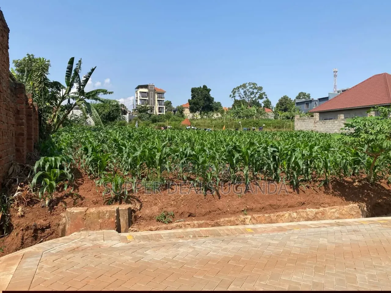 50by30ft Plot for Sale in Gayaza in Nakawa