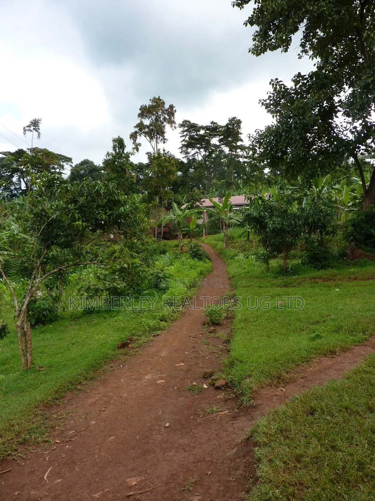 Quick Sale Plot – Seguku Katale (Near Main Road) in Division A